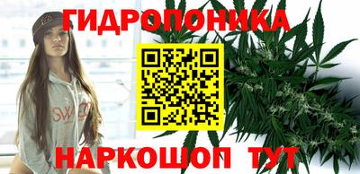дмт Камышлов