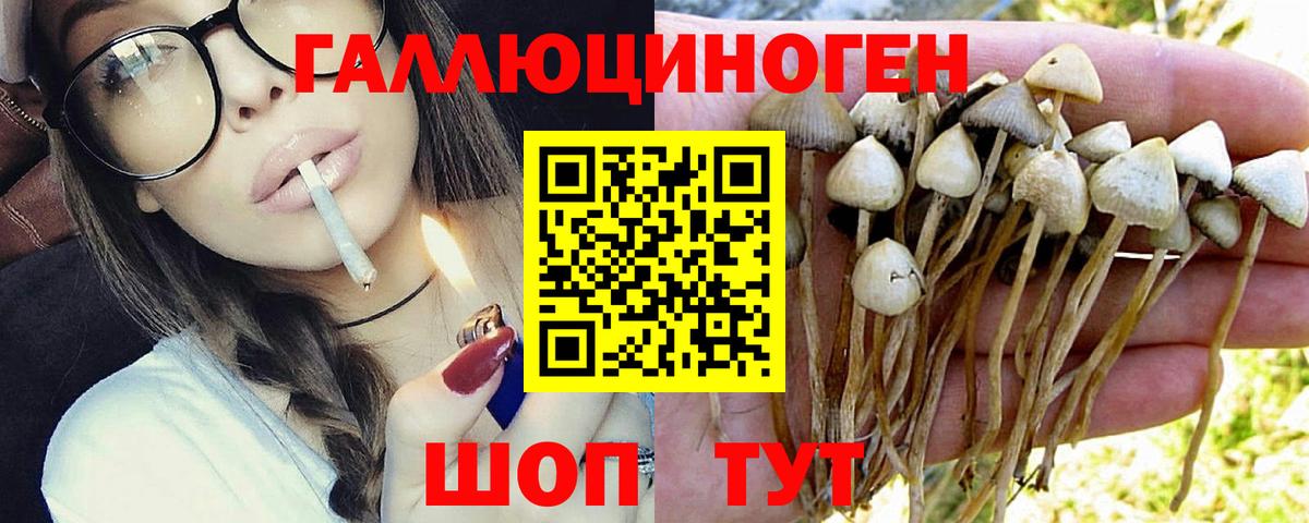 Псилоцибиновые грибы прущие грибы Саранск